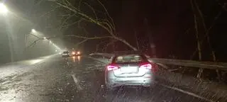 Interwencje straży w Koszalinie