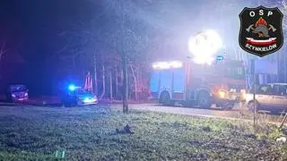 Uniknął zderzenia z sarną. Uderzył w znak i drzewo