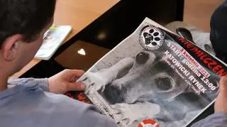 Najpierw krzywdzili zwierzęta, a teraz się nimi opiekują
