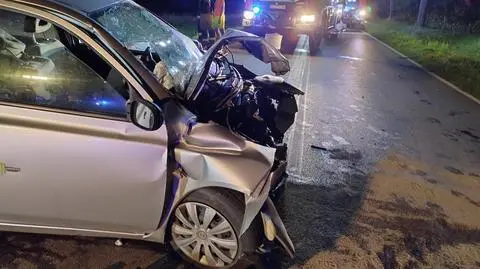 Pod Zduńską Wolą doszło do śmiertelnego wypadku