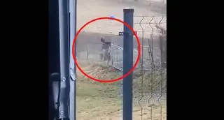 Pies bity łańcuchem przez właściciela