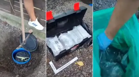 Ponad trzy miliony złotych zakopali w beczkach. Plotki o ukrytych pieniądzach krążyły po mieście 