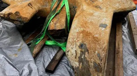 Polityczne układanki, rozliczenie podsłuchów Pegasusem i gigantyczna kotwica znaleziona przy zerwanym rurociągu