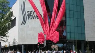 Wrocławianie szturmem ruszylina zakupy do najwyższego budynku w mieście