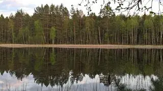 Jeziora w Borach Tucholskich - tu znajdują się najcenniejsze przyrodniczo obszary. Są wykorzystywane do celów turystycznych.