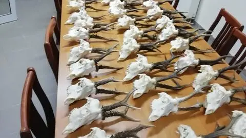 Zniknęła kamera, to był początek kłopotów "miłośnika łowiectwa i archeologii"