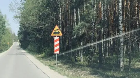 Jarocin. Zatrzymał pociąg, bo chciał, żeby maszynista go podwiózł