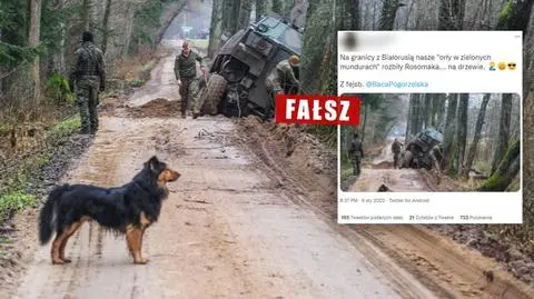 "Orły w zielonych mundurach rozbiły rosomaka na drzewie?" Sprawdziliśmy