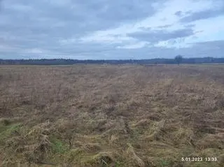 Tak wygląda miejsce, w którym ma powstać farma