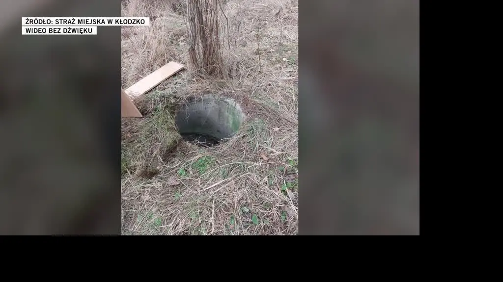 Straż Miejska w Kłodzko