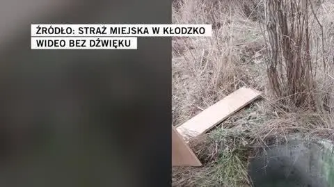 Straż Miejska w Kłodzko
