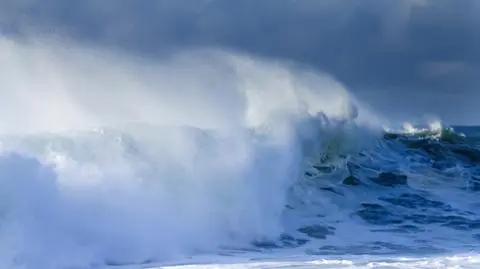 shutterstock_106212998