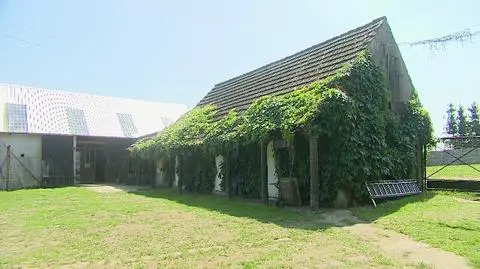 Zakątek Weteranów czyli dom spokojnej starości dla zwierząt po służbie