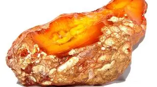 Miłość do bursztynu czasem rodzi się powoli 