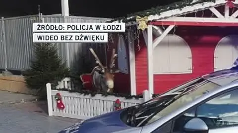 Podejrzani usłyszeli zarzuty