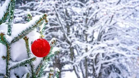 Prognoza pogody na święta. Sprawdzamy, jakie są szanse na śnieg