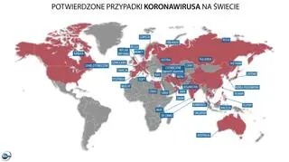 Aktualnie czytasz: Samolot ląduje, na pokład wchodzą medycy. Nagranie z kontroli na warszawskim lotnisku