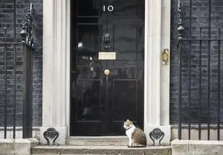 Kot Larry - Główny Myszołap na Downing Street