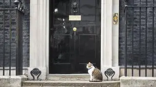 Downing Street 10. Siedziba urzędu brytyjskiego premiera