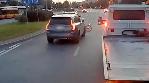 Już żegnał się z życiem. Błyskawiczny manewr kierowcy ocalił jeża