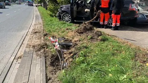 Kolizja w alei Krakowskiej. "Samochód skosił latarnię i drzewo"