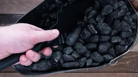 shutterstock_1919003441