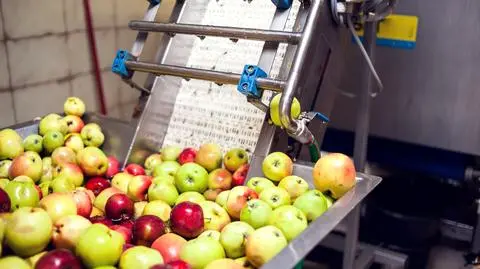 shutterstock_1519641692