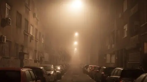 Smog nad Polską. Przekroczone normy jakości powietrza 