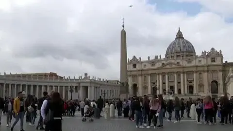 Z profilu papieża Franciszka "polubiono" zdjęcie skąpo ubranej modelki. Watykan sprawdza, jak do tego doszło