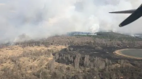 Wokół elektrowni w Czarnobylu płonął las. "Poziom promieniowania jest w normie"   