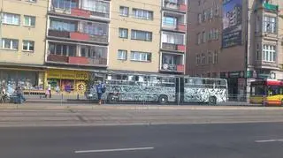 MPK zorganizowało konkurs. Polowanie na Ikarusa, nową maskotkę wrocławskiego przedsiębiorstwa komunikacyjnego