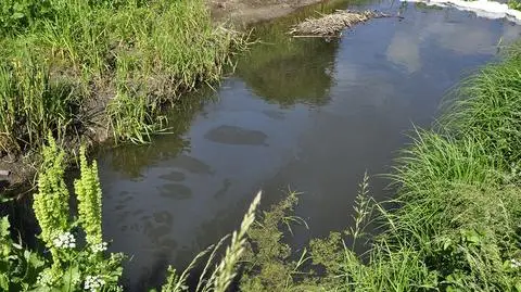 Mieszkańcy zauważyli, że woda została zanieczyszczona