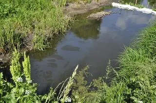Mieszkańcy zauważyli, że woda została zanieczyszczona