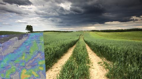 Pogoda na 5 dni: wrócą burze. Jaka pogoda będzie w weekend?