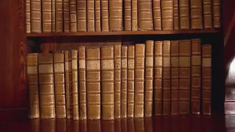 Polands National Library wants to rebuild collections lost in war