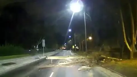 Drzewo spadające przed jadącym autem, połamane konary. Cyklon Ulf nad Polską