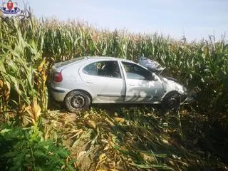 61-latek stracił panowanie nad pojazdem i wjechał na pole kukurydzy 