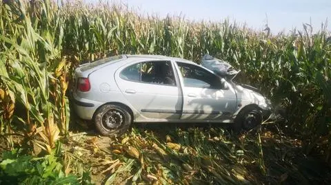 Zjechał z drogi i zatrzymał się w polu kukurydzy