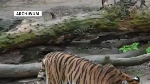 ZOO