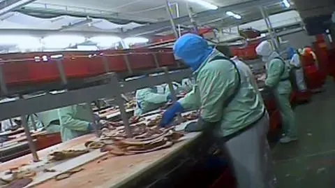 Przyjechali do Polski do pracy, przeszli piekło. "Traktowano mnie gorzej niż zwierzę"