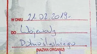 Stempel w paszporcie Dmytra Pastukha