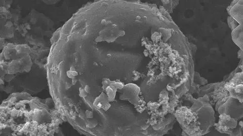 Tak wygląda mikrokapsułka