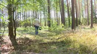 Grzyby nie są dla wszystkich. "Jeżeli będziemy zwlekać, wzrasta ryzyko uszkodzenia wątroby"