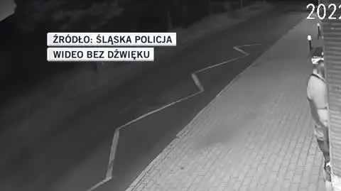 śląska policja