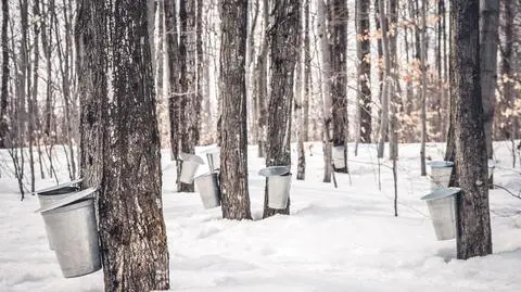 To jedyna taka rezerwa na świecie. Zapasy najniższe od 16 lat