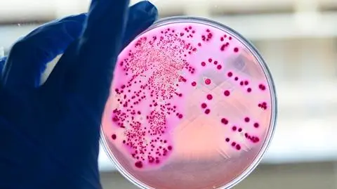 Ta substancja ma szansę stać się "superantybiotykiem". Zniszczyła 300 opornych bakterii