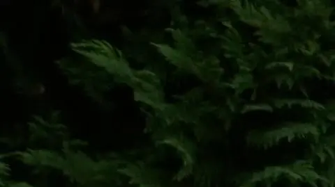 Andrzej Duda: tym razem rzeczywiście żadnych umów nie było