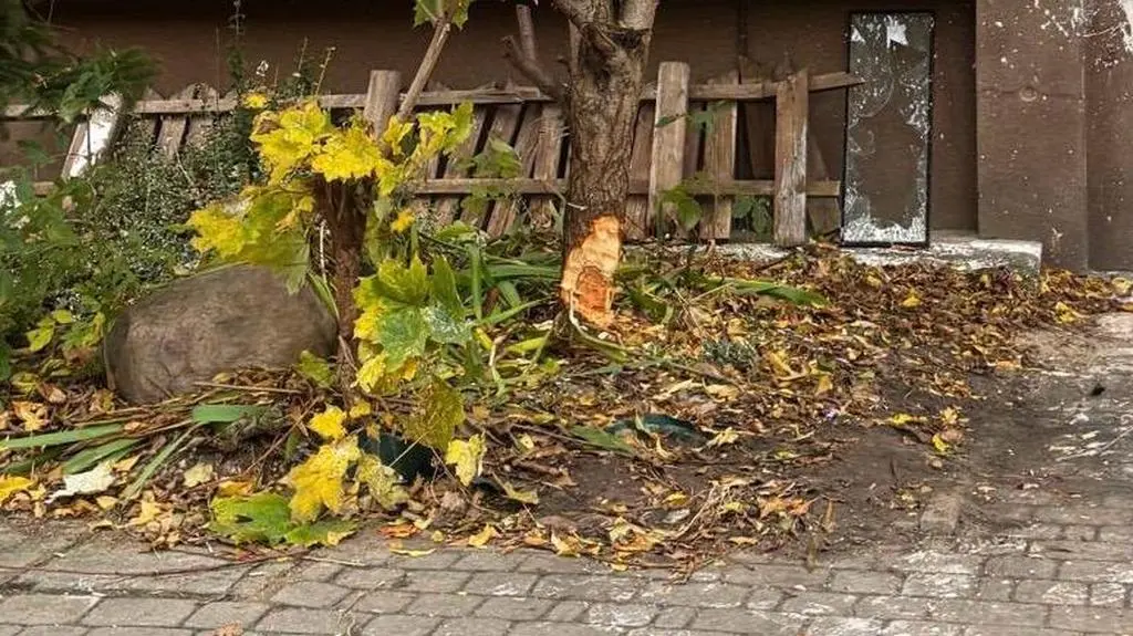 Zaczął ścinać drzewo