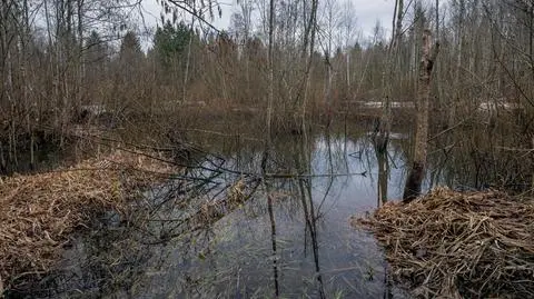 Obowiązują alarmy hydrologiczne