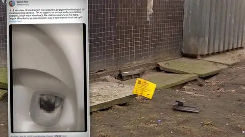 Martwy szczur wypłynął w ubikacji